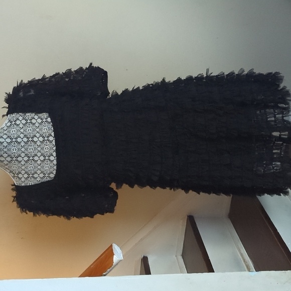 Zara Tulle Fringe Dress - Picture 7 of 12